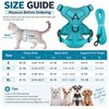Cat Harness and Leash Set for Indoor Cats & Small