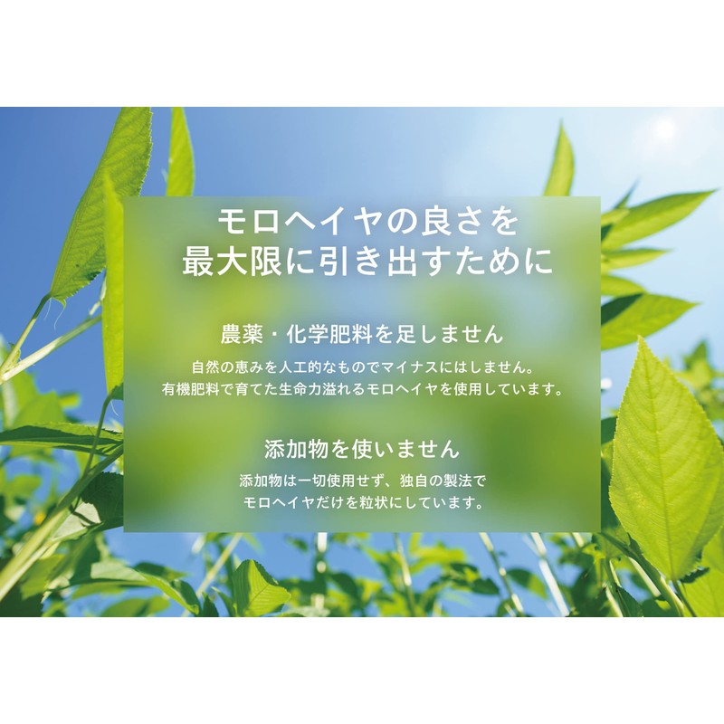 あおつぶ詰替用（750粒） 働く食物繊維 モロヘイヤ100% モロヘイヤサプリ インナーケア 水溶性食物繊維 野菜不足な方へ スッキリ習慣 食物繊維 あおつぶ