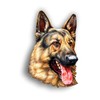 Magnet German Shepard K9 Magnetic vinyl bumper sticker sticks to any metal fridge, car, signs 5"