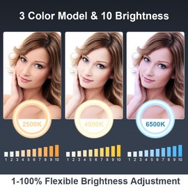 Desktop Ring Light with Stand and Phone Holder, Zoom Lighting for Computer Video Conference, Video Calls, Home Office, Laptop- Soft Lighting for Video Recording, Podcasts, Streaming Studio (White)