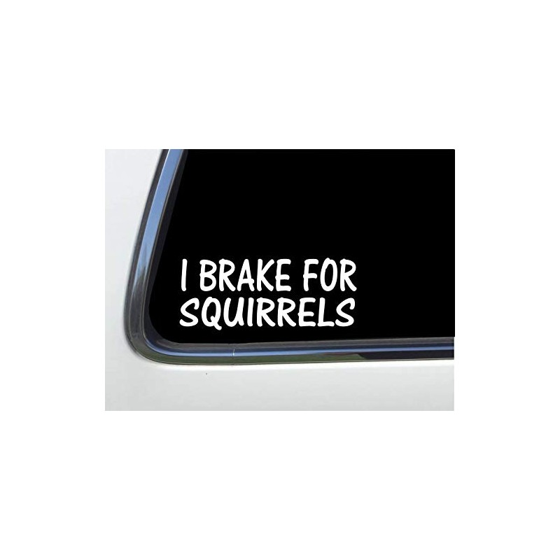 ThatLilCabin - I Break for Squirrels AS579 8" Sticker Decal