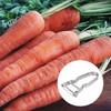 Jagowa 2PCS Potato Peelers Fruit Vegetable Peeler Stainless Steel Rotatable