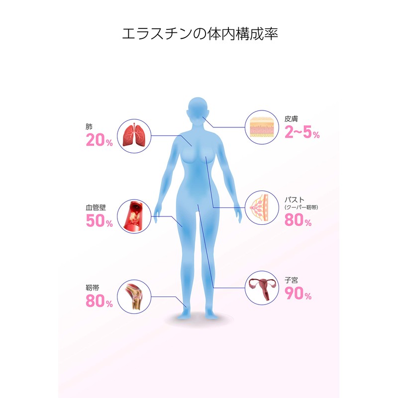 エラスチン サプリメント エラスチン華　90粒