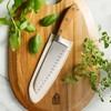 Bloomhouse - Oprah's Favorite Things - 7 Inch German Steel