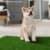 TURSTIN Dog Grass Pee Pads 16 x 30 Inches Artificial