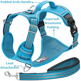 TUFFDOG Easy-Fit Dog Harness Small Dog - Fast Release Neck Clip, Premium Padded Reflective No Pull Harness with Control Handle, Adjustable Step-in Dog Vest Plus Free Matching Lead (S, Sky Blue)