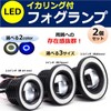 Universal Squid Ring LED Fog Lamp, Set of 2, Aftermarket