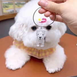 Mfqire 3 x Key Ring for Dog Hair Collector, Transparent Collecting Capsules Pet Hair, DIY Dog Memorial Pendant, Creative Memorial Gift, Animal Lover, Dog Hair Storage