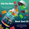 Sea Moss Gummies - Irish Sea Moss Gummies Advanced for