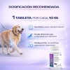 Complete Mobility Perros C/condroitina Y Glucosamina 60 Tab