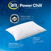 Serta Power Chill - Proteggi cuscino rinfrescante, antimacchia e con
