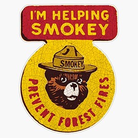 Smokey The Bear Sticker Sticker Decal Bumper Sticker Waterproof 5"