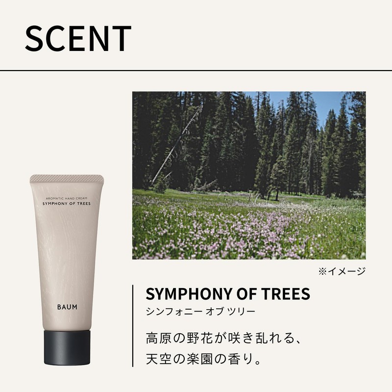 Baum Aromatic Hand Cream 3 75g | Hand Cream |