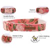 Elegant little tail Dog Collar, Cotton and Webbing, Christmas Dog