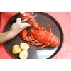King Kooker 14500 Seafood Claw Crackers-2 Pack, OS, Multi