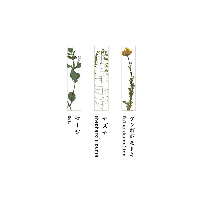 Toumei toumei 押花 katorari-resuto Set of 3 Wood Box