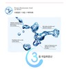Shinobu Synov Recovery Cream 100ml + Large Sample Capacity /