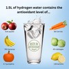 Hydrogen Water Bottle, 2026 Upgraded Model, SPE PEM Technology 2000ppb