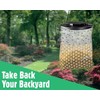 Flies Be Gone Fly Trap - Natural Protein-Powered Attractant