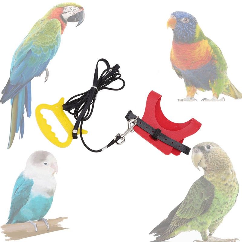 Bird Harness Leash Elastic Easy To Wear Portable Bird Traction