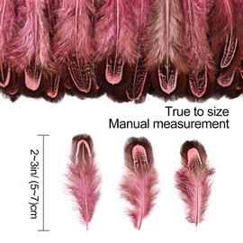 THARAHT Pheasant Plumage Feathers 120pcs Natural 2-3 Inches for Thanksgiving Crafts Hats Sewing Clothing Wedding Dream Catcher Decoration Feathers,Pink