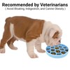 Mr. Peanut's Interactive Slow Feed Dog Bowl, Fun Healthy Bloat