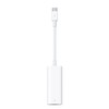 Apple Thunderbolt 3 (USB-C) - Thunderbolt 2 Adapter