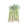 Unbranded Fresh Lemongrass by pound - 2lb