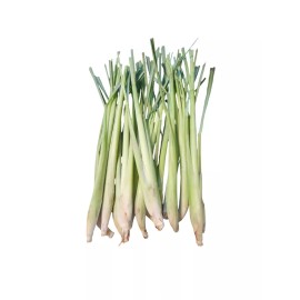 Unbranded Fresh Lemongrass by pound - 2lb
