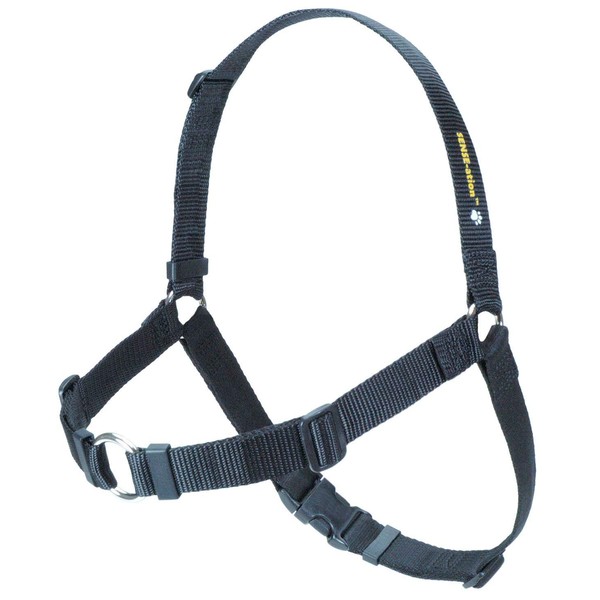 SENSE-ation No-Pull Dog Harness - 3/4" Wide Medium/Large