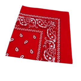 ARG Cotton Paisley Bandana Head Scarf Headbands Face Covering Headwear For Motorcycling Mens Womens Unisex (Red)