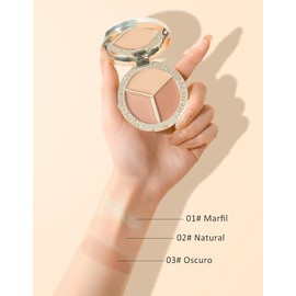 Erinde 3 Colores Corrector de Alta Cobertura y Larga Duración, Crema Correctora Anti-Imperfecciones y Ojeras, Corrector Facial Resistente al Agua, Fórmula Crema a Polvo, Ideal para Todo Tipo de Piel,#b02