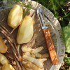Opinel Schälmesser No. 115, rostfreier Sandvik-Stahl, für Rechts- und Linkshänder,