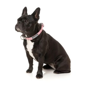 FuzzYard Christmas Festive Themed Dog Collars for Small, Medium and Large Breed Dogs (Large, Candy Cane Pink)