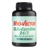 Myo-vector Cla Carnitina (cap. Gel)
