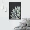 SIGNWIN Framed Canvas Print Wall Art Ash Green Agave Parryi