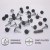 SKIR'CO (Pack of 50) Painted 4.2 x 16 mm Self