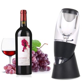 Honsin Fashion Wine Aerator Decanter Set Family Party Hotel Quick Ventilation Wine Pourer Magic Decanter
