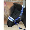 Christmas Print Blue Headcollar Lead Rope Set for Mini Shetland