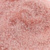 Oasis Supply Red Candy Apple Coating Mix, Cherry Flavor, Just