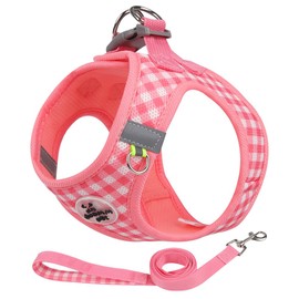 Small Dog Harness and Leash Set, Step in No Pull Adjustable Reflective Pet Harness, Soft Mesh Plaid Vest Harnesses for Small Dogs & Cats Easy Walk Outdoor Hiking Running, Watermelon XS