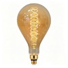 Jslinter Oversized Incandescent Light Bulb 60 Watt, PS52/PS160 Edison Bulb