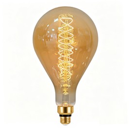 Jslinter Oversized Incandescent Light Bulb 60 Watt, PS52/PS160 Edison Bulb