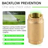 1" Check Valve, Backflow Preventer for Water/Irrigation Systems - 200