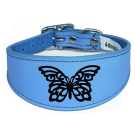 Dog Collar Leather Greyhound Collar Whippet Collar Padded Backing Laser Engraved D14 (14-17 Inch (35cm-43cm), Sky Blue)