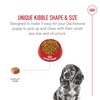 Royal Canin Breed Health Nutrition Dachshund Puppy Dry Dog Food,