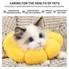 M, Lick Protection Cat, Collar, Cat, Collar, Cats, Collars for