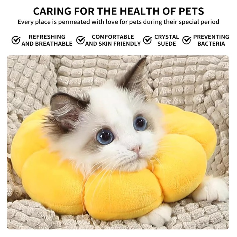 M, Lick Protection Cat, Collar, Cat, Collar, Cats, Collars for