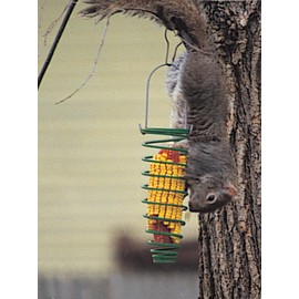 Woodlink 75530 Corn Trapper Spring Squirrel Feeder