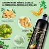 SINYI Champú Instant Hair Color para Cabello 500ml，Champú para Teñir